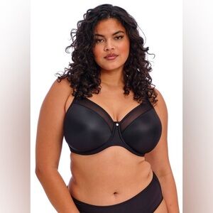 Elomi Smooth Underwire Moulded Non Padded Bra in Black B1374